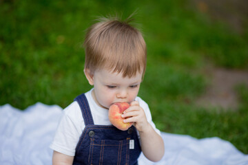 little boy toddler sitting in the park and eating a peach.