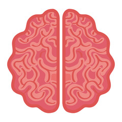 neurology, brain human on white background vector illustration design