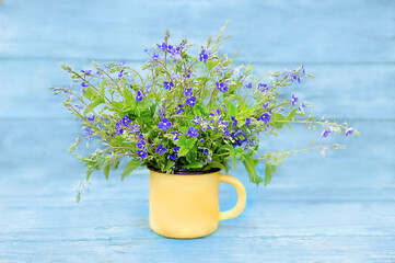 bouquet of blue flowers in a yellow circle on a blue background, close-up, selective focus
