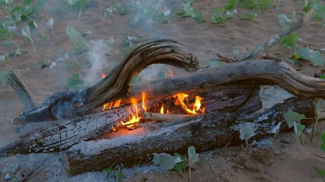 Burning bonfire on sand in camping, camfire at night on nature. Recreation, resting outdoors on weekend or vacations at summer time.