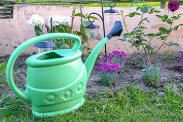 flowers and green watering can in grass in garden outdoor at summer, working process