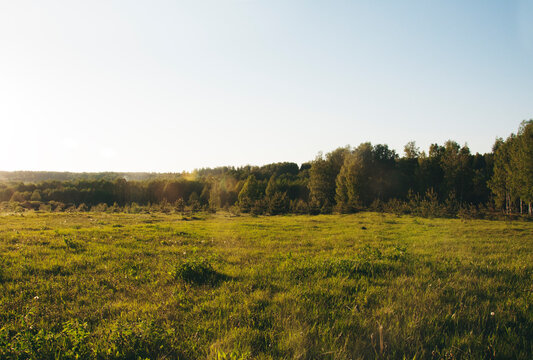 rural landscape field trees sun