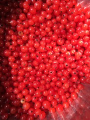 red currant background