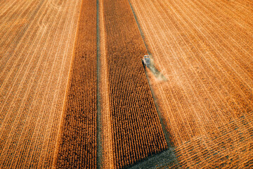 Aerial drone photo of a combine during fall harvest of the corn in a farmer's field .