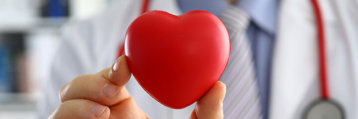 Male medicine doctor hands holding and covering red toy heart