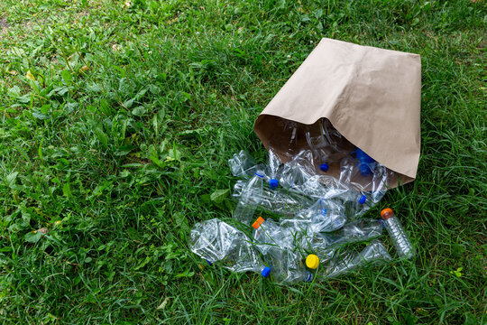 Many Transparent Empty Water Bottles Are Gathered In The Paper Bag On The Green Grass. Separate Waste And Recycle Plastic Bottles Concept. Save The Earth And Be Eco Friendly