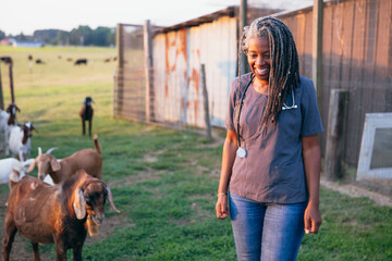 Black veterinarian on farm to check animals