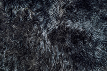 Sheepskin rug dark background texture Sheep fur