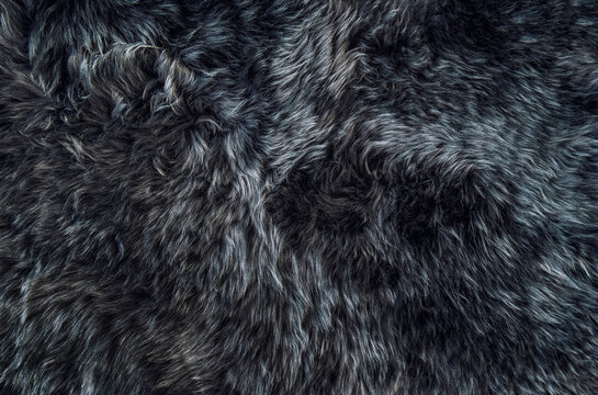 Sheepskin Rug Dark Background Texture Sheep Fur