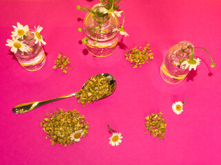 Obraz na płótnie Canvas Dried chamomile flowers for tea and fresh camomile flowers in glass bottles on pink background. Floral modern concept for alternative medicine.