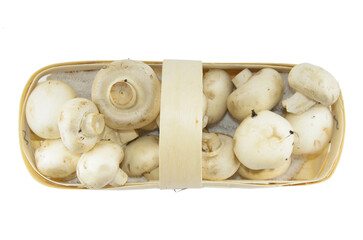 White mushrooms Champignons in a wooden wicker basket. Side top, isolated on a white background. No people.