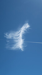 beautiful feathery cloud hanging on a clothesline - plane contrail 