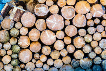 Bielsko Biala, South Poland: Abstract shot of multiple chopped wood on a hill station