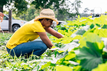 Farmer inspecting crops on rural farm