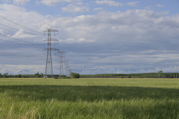 traliccio alta tensione in campo di soia, country landscape