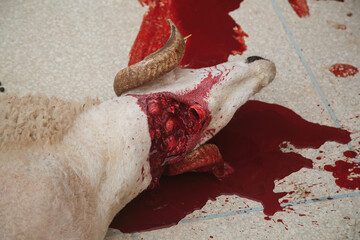 the Muslim custom is the sacrifice of a lamb. Severed artery, leaking blood. Halal meat
