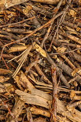 log felled wood wooden pattern brown background logging