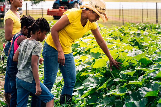 Woman showing young kids garden vegetables on farm