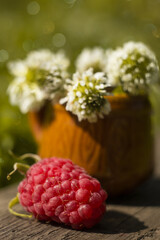 Juicy raspberries lie next to a small mug