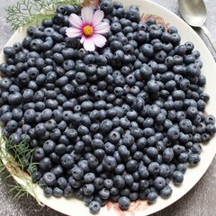 blueberries in a bowl