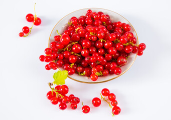 Red currants in a plate on a white background.