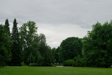 trees in the park
