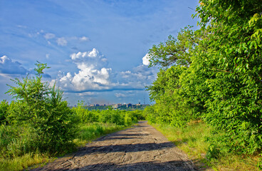 beautiful summer road on a sunny day