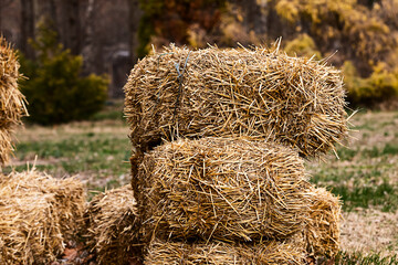 haystack design rustic stack close up harvest autumn forage cow