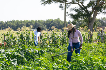 Mother and sons working in family garden