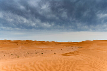 Fototapeta na wymiar Picturesque desert landscape with dunes and dramatic sky