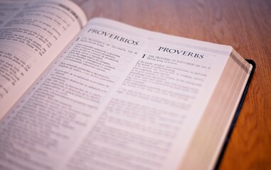 Holy Bible Christian Book  New Testament - Proverbs Book