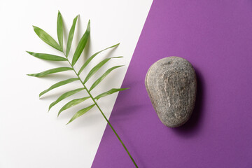 Tropical plant leaf and pebble stone on violet and white paper background. Flat lay, top view, minimal design template with copyspace.