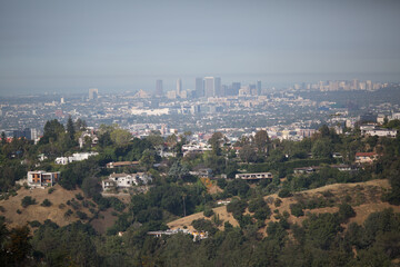 aerial view of the city