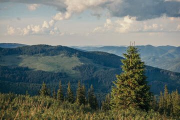 A stop sign with a mountain in the background