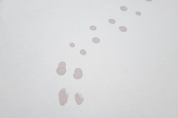 絵具で書いた足跡