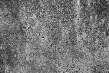 Grunge black and white metal texture. Rusty corrosion and oxidized plate. Worn metallic iron background.