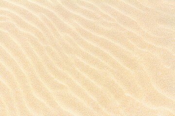 Fototapeta na wymiar Rippled sand on the sea coast formed by wind and water, background, texture, pattern, banner
