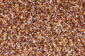 background the beach darkly brown many splinters which are pulled down a shell a basis tropical