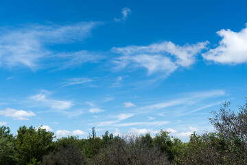 Obraz premium Clouds in the sky in a natural Texas park on a sunny July day.