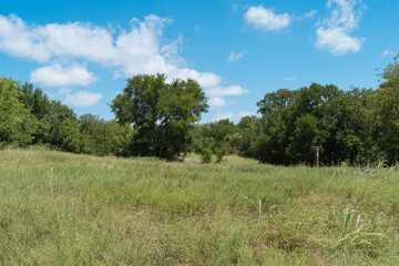 Natural Texas Park on a sunny July day.