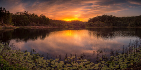 Fototapeta na wymiar Panoramic Lakeside Sunset with Reflections and Waterlilies