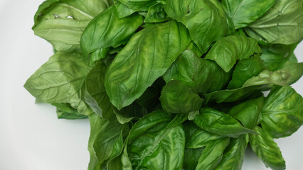 Fresh basil leaves as background, top view. Plant background and texture. Space for text. Design concept.