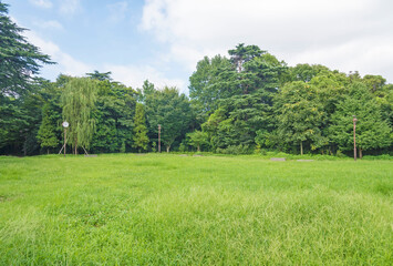 江古田の森公園の草っぱら広場（東京都中野区）