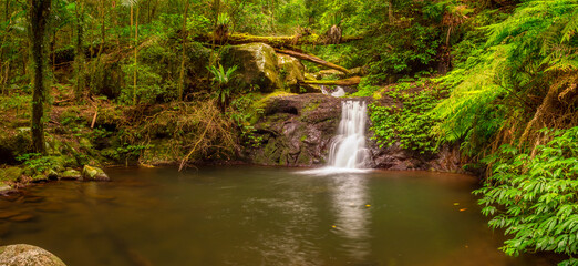 Panorama of Rainforest Waterfall