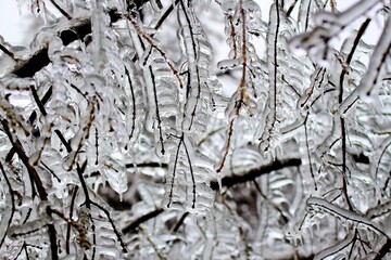 Winter ice storm, in Bucharest, Romania.