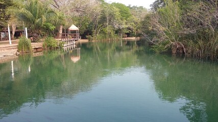 lake in the forest