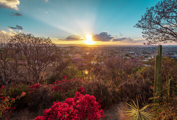 Fototapeta premium zachód słońca nad San Miguel de Allende