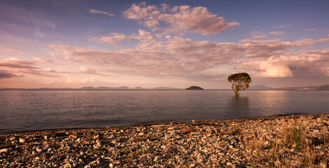 sunset on lake taupo, new zealand