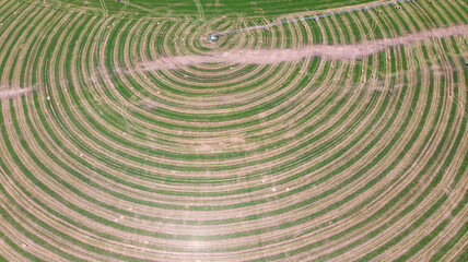 Fototapeta na wymiar Aerial View of a plantation field