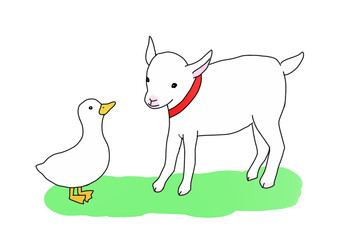 赤い首輪をつけた子ヤギとアヒル